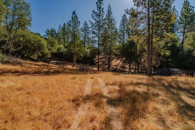 18862 American Flat Rd, Fiddletown, CA 95629 - photo 3