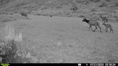 0 Tbd Highway 13 S, Meeker, CO 81641 - photo 3