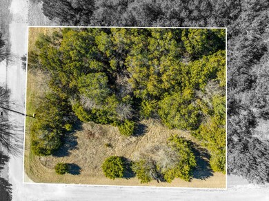 33040 Woodcrest & Stonedale Dr, Whitney, TX 76692 - photo 4