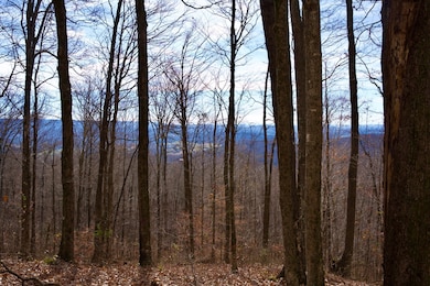 323A White Oak Flatt Rd, Sparta, TN 38583 - photo 4