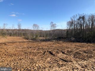 0 James Madison Pkwy unit VAKG118950, King George, VA 22485 - photo 6