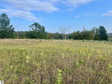 00 Skinner Rd, Ellsworth, MI 49729 - photo 6