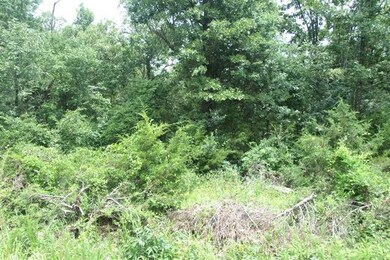 156 Hand Cove Rd, Elizabeth, AR 72531 - photo 3