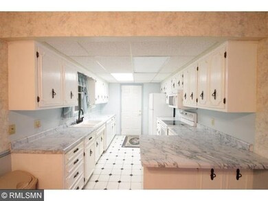 18907 Elderberry Dr, Long Prairie, MN 56347 - photo 4