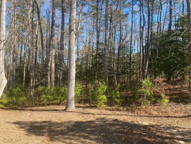 Lot 69 Scarburgh Ln unit 69, Horntown, VA 23395 - photo 2