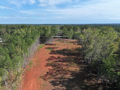 0 Reese Rd unit 25651133, Rutledge, GA 30663 - photo 2