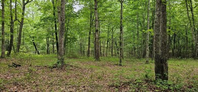 image000000