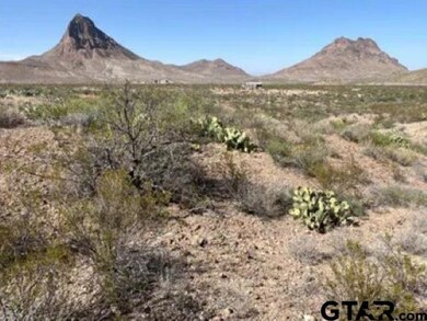 27236 Huff Rd Off Lake Ament-Christmas Wells Tank, Terlingua, TX 79852 - photo 5