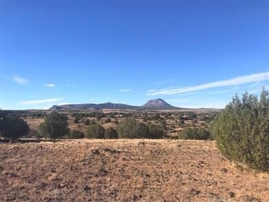 21 N Un Named Rd, Ash Fork, AZ 86320 - photo 2