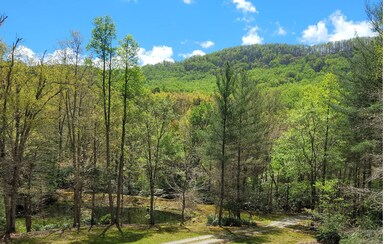 Additional View