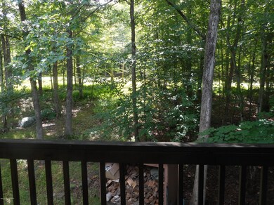 305 Valley Rd, Canadensis, PA 18325 - photo 4