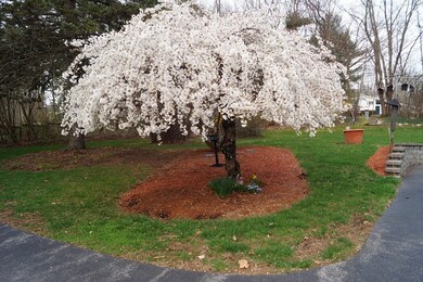 3 Short Rd, Pelham, NH 03076 - photo 5