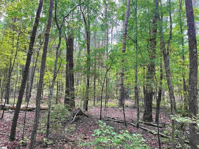 00 Clatworthy Rd, Honea Path, SC 29654 - photo 6