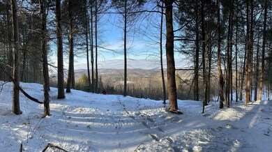 0 Mosquito Schoolhouse Rd unit 4951885, Newport, NH 03773 - photo 2