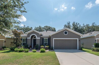 16007 Courtside View Dr, Lithia, FL 33547 - photo 2
