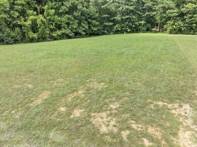 0 Thunder Ridge Dr unit RTC2970742, South Pittsburg, TN 37380 - photo 6