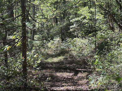 TBD Happy Ridge Ln, Sylva, NC 28779 - photo 6