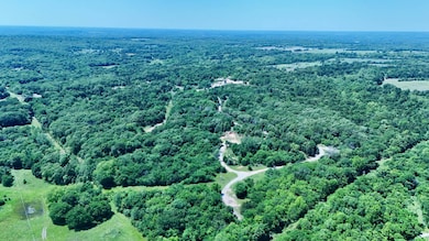 80 AC N 3655 Rd, Sasakwa, OK 74867 - photo 3