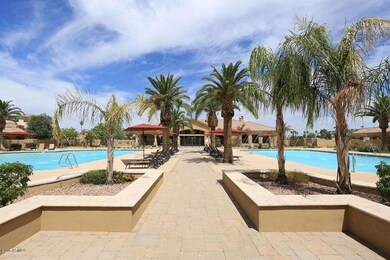 Palms b
