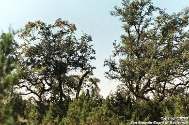 0 Bluehill Pass, Helotes, TX 78023 - photo 6