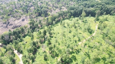 Route 580 Hwy unit 6, Cherry Tree, PA 15728 - photo 4