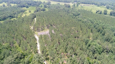 Old Meriwether Trail, Highland Home, AL 36041 - photo 6