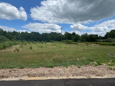 6537 118th Ave unit LOT G, Ganges Township, MI 49408 - photo 2