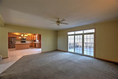 380 Secretariat Place, Mount Zion, IL 62549 - photo 6