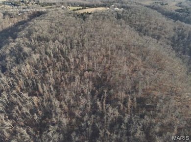 Tbd Creek, Dixon, MO 65459 - photo 2