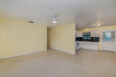 BAY1355 7