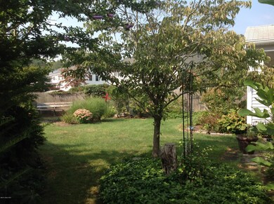 7 Back Yard 1
