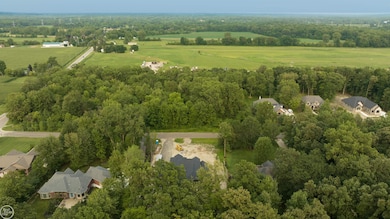 62880 Braun Dr, Washington, MI 48094 - photo 4