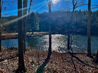Pond