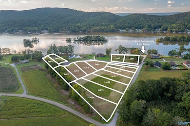 2790 Lake Forest Ct, Southside, AL 35907 - photo 3