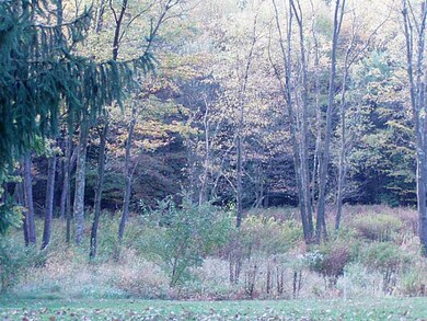 Land/Lot.