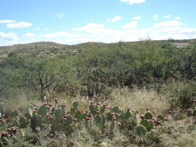 High Desert