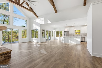 259 E Currahee St, Toccoa, GA 30577 - photo 5