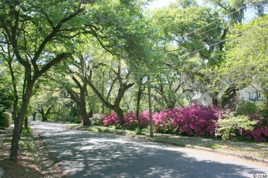 224 Old Dunn Ln, Conway, SC 29526 - photo 3