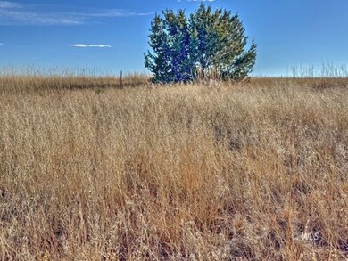 TBD-L309 Morgan, Colorado City, CO 81019 - photo 3