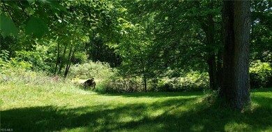 View of pond located in the very back of the lot