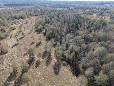 000 Greenland Rd, Little Rock, MS 39337 - photo 6