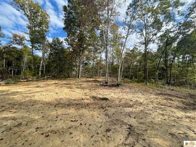 Lot 15 Ranchero Rd, Clarkson, KY 42726 - photo 5