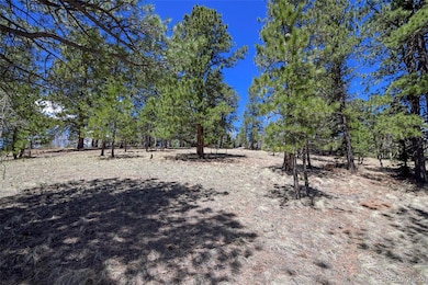 112 Blue Jay Ln, Florissant, CO 80816 - photo 4