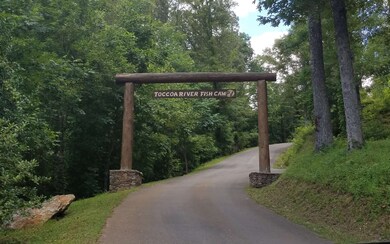 10 Fish Camp Way, Mineral Bluff, GA 30559 - photo 3