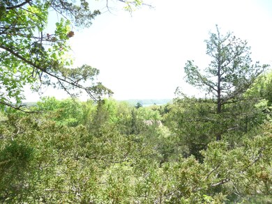 Tbd Elm St, Ruth B Rural Township, MO 65686 - photo 5