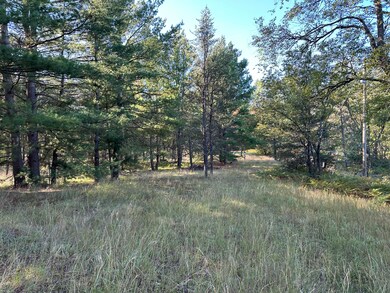 429 W 72nd St, Baldwin, MI 49304 - photo 3