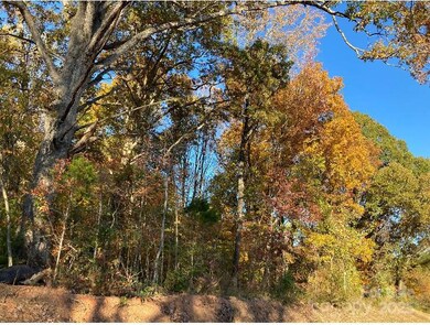 00 Robinson Rd, Salisbury, NC 28144 - photo 4