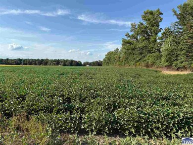 16100 +/- S All, Pimento, IN 47866 - photo 5