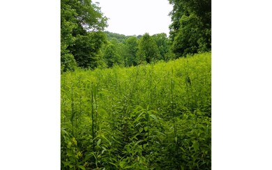 000 Big Creek Rd, Ellijay, GA 30540 - photo 3