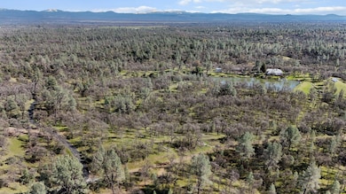 NSA Bernard Way, Redding, CA 96003 - photo 3